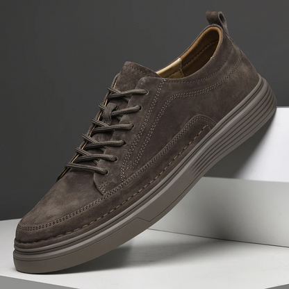 Aldo Suede Sneakers